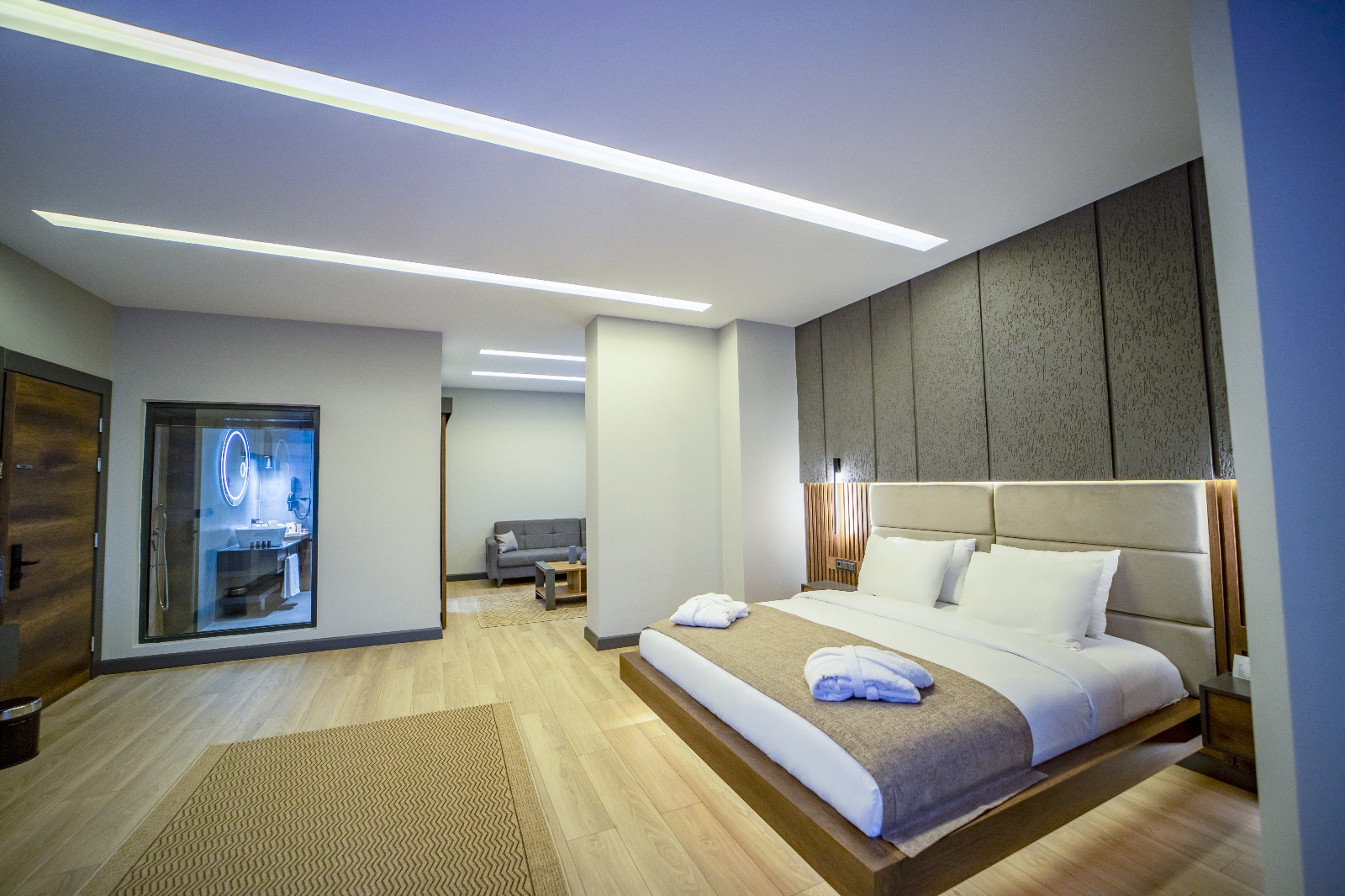 King Suite Room 23